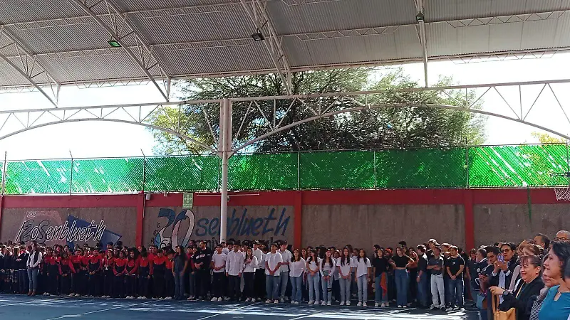 foto 5 cer
